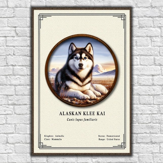 Alaskan Klee Kai Zoologie-Serie Poster (Von Creator hochgeladen)