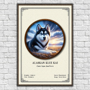 Alaskan Klee Kai Zoologie-Serie Poster