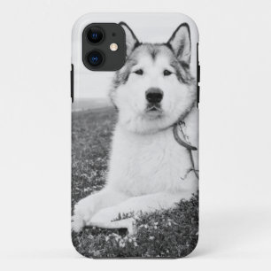alaskan-malamute bw.png Case-Mate iPhone hülle