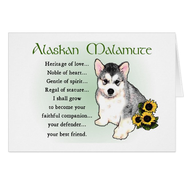 Alaskan Malamute Cards (Vorderseite (Horizontal))
