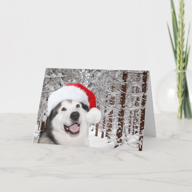 Alaskan Malamute Christmas Feiertagskarte (Vorderseite)