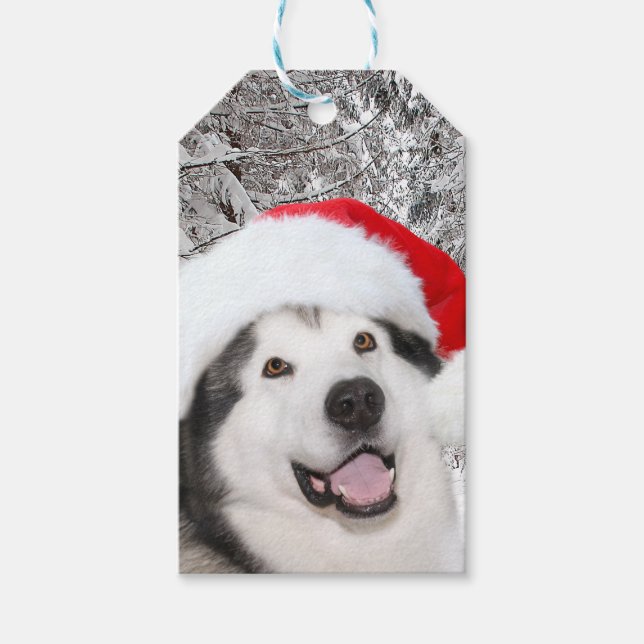 Alaskan Malamute Christmas Geschenkanhänger (Vorderseite)