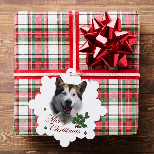 Alaskan Malamute Christmas Ornament Karte (Insitu (Geschenk))