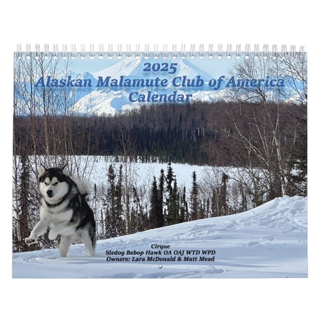 Alaskan Malamute Club of America Calendar 2025 Kalender (Titelbild)