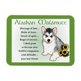 Alaskan Malamute Dog Art Magnet
