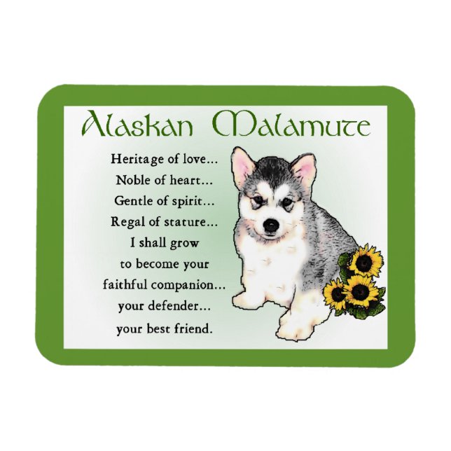 Alaskan Malamute Dog Art Magnet (Horizontal)