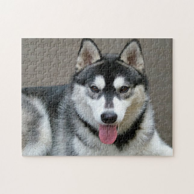 Alaskan Malamute Dog Foto Image Puzzle (Horizontal)