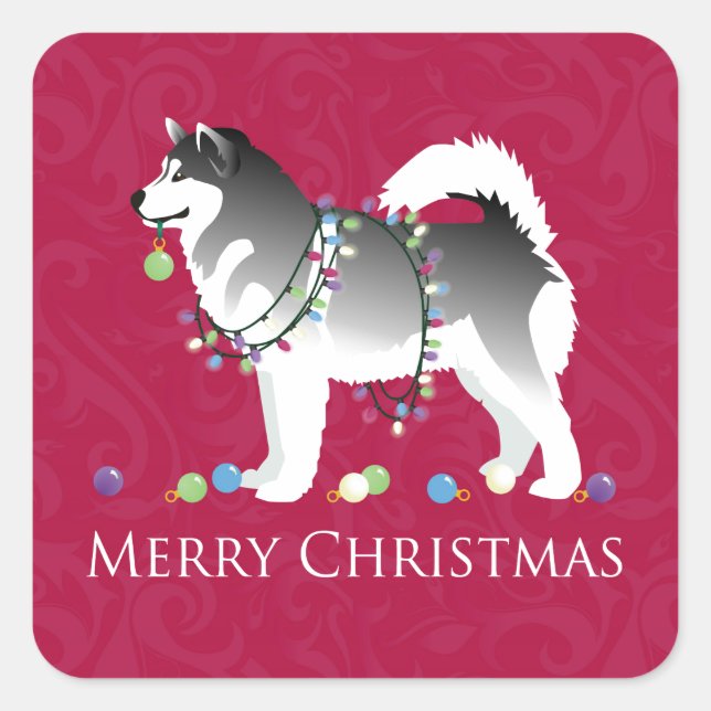 Alaskan Malamute Dog Frohe Weihnachtsgestaltung Quadratischer Aufkleber (Vorderseite)