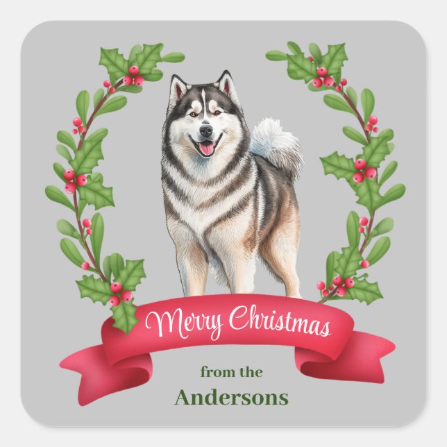 Alaskan Malamute Dog Holly Banner Weihnachten Quadratischer Aufkleber (Vorderseite)