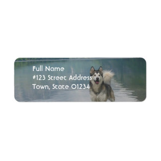 Alaskan Malamute Dog Rücksendeadresse
