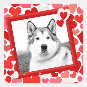 Alaskan Malamute Dog Valentines Herz Quadratischer Aufkleber
