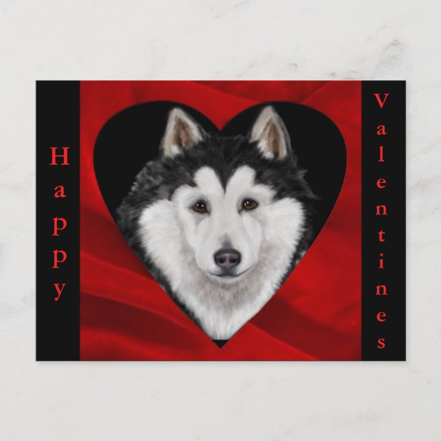 Alaskan Malamute Feiertagspostkarte (Vorderseite)