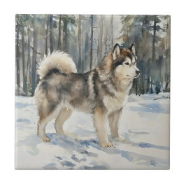 Alaskan Malamute Fliese