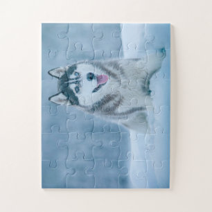 Alaskan Malamute geht auf Schneefeld Puzzle