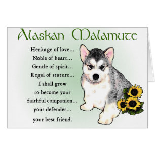 Alaskan Malamute Geschenke