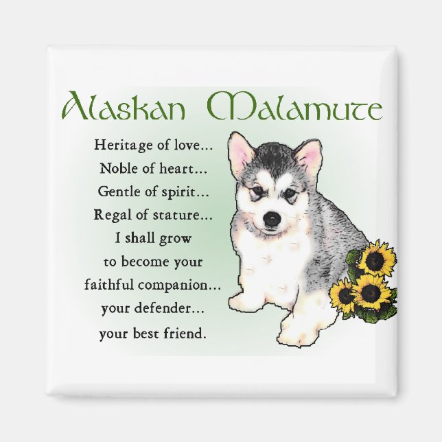 Alaskan Malamute Geschenke Magnet (Vorne)