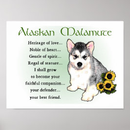 Alaskan Malamute Geschenke Poster