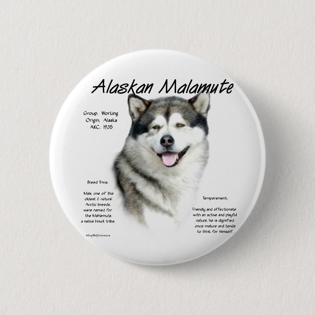 Alaskan Malamute Geschichte, Alles über Malamutes Button (Vorderseite)