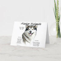 Alaskan Malamute Geschichte, Alles über Malamutes
