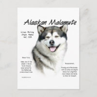 Alaskan Malamute Geschichte, Alles über Malamutes