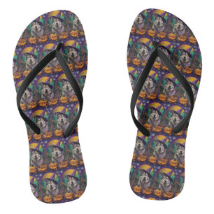 Alaskan Malamute Halloween Hexe und Pumpkin Flip Flops