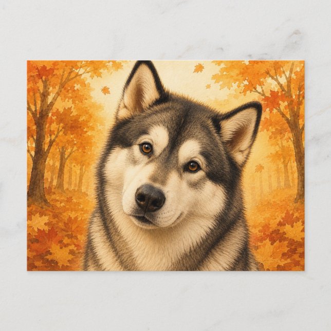 Alaskan Malamute Herbstwald Hund Postkarte (Vorderseite)