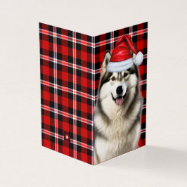 Alaskan Malamute Holiday Karierte Weihnachtskarte