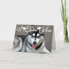 Alaskan Malamute Hunde I Liebe You Karte
