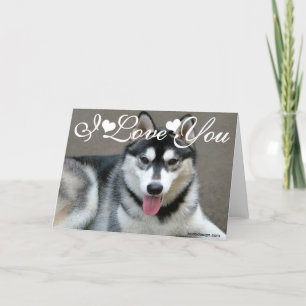 Alaskan Malamute Hunde I Liebe You Karte