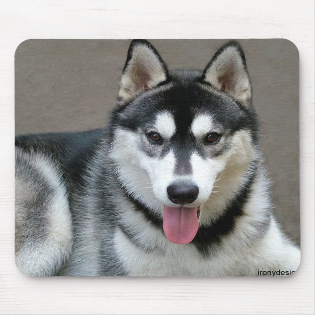 Alaskan Malamute Hunde Mousepad (Vorne)