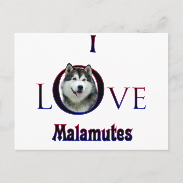 Alaskan Malamute I Liebe Postkarte (Vorderseite)