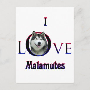 Alaskan Malamute I Liebe Postkarte