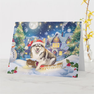 Alaskan Malamute im Schlitten Schnee Weihnachten Karte