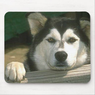 Alaskan Malamute - kundenspezifisch Mousepad