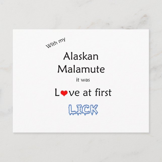 Alaskan Malamute Lick Design Postkarte (Vorderseite)