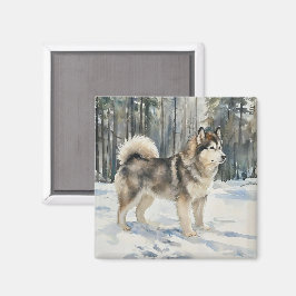 Alaskan Malamute Magnet