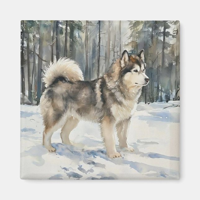 Alaskan Malamute Magnet (Vorne)