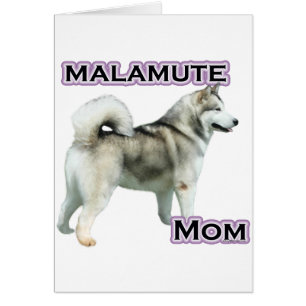 Alaskan Malamute Mama 4