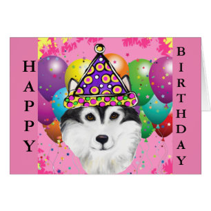 Alaskan Malamute Party Dog