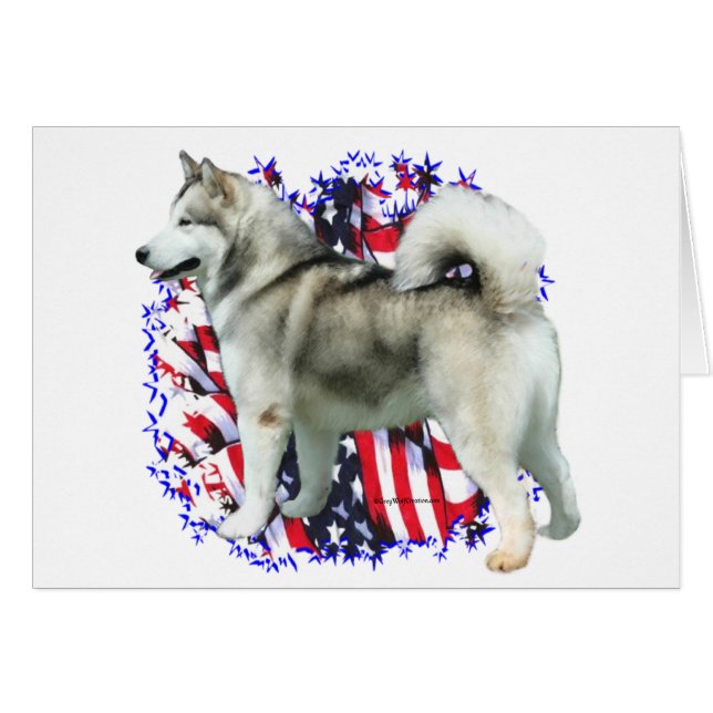 Alaskan Malamute Patriot (Vorderseite (Horizontal))