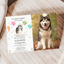 Alaskan Malamute Pawty Puppy Birthday Pink Foto