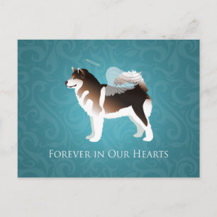 Alaskan Malamute Pet Loss Design Postkarte