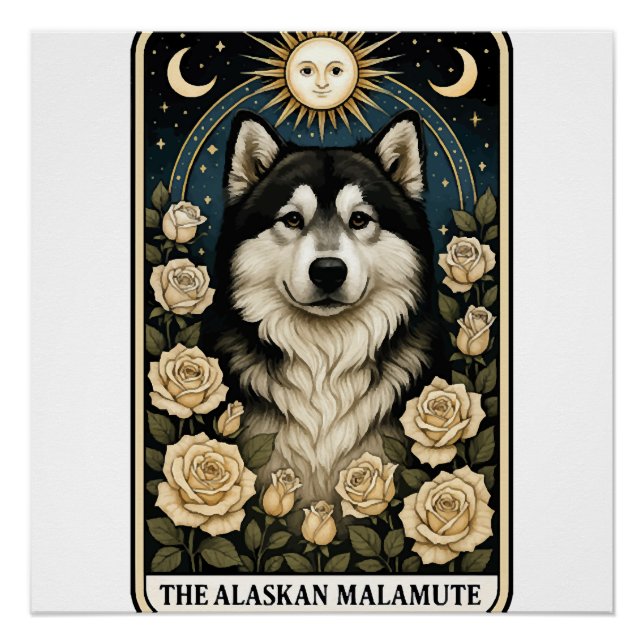 Alaskan Malamute Poster (Vorderseite)