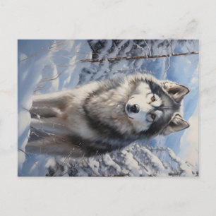 Alaskan Malamute Postkarte