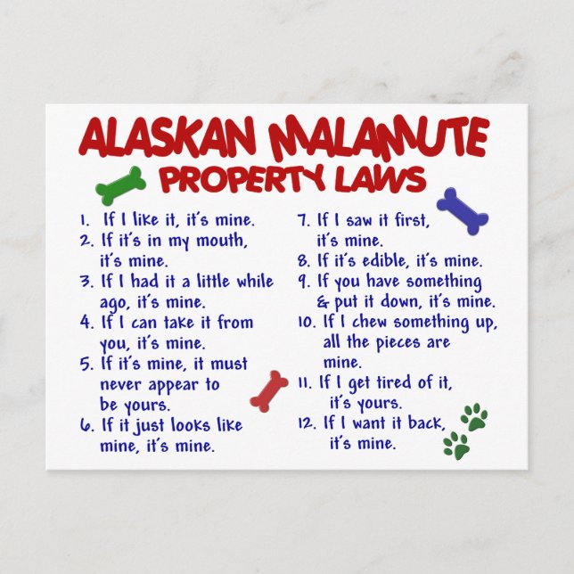 ALASKAN MALAMUTE Property Laws 2 Postkarte (Vorderseite)