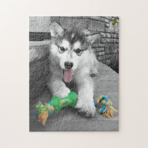 Alaskan Malamute Puppy Color Splash Foto Puzzle