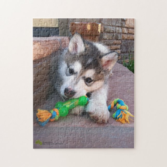 Alaskan Malamute Puppy Nah-Up-Foto Puzzle (Vertikal)