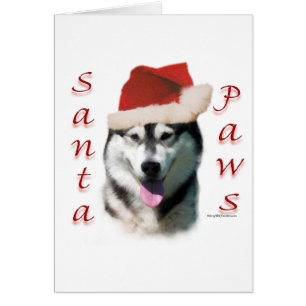 Alaskan Malamute Santa Paws