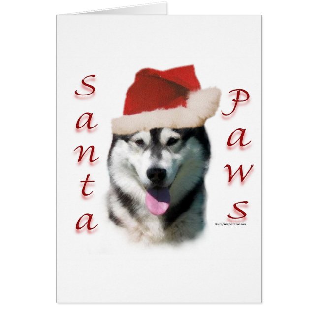 Alaskan Malamute Santa Paws (Vorne)