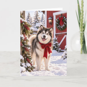 Alaskan Malamute Scheunen-Weihnachtskarte Karte
